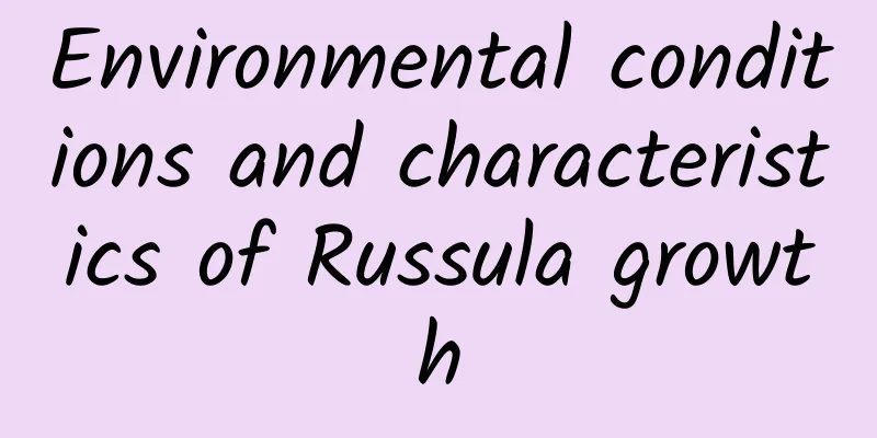 Environmental conditions and characteristics of Russula growth