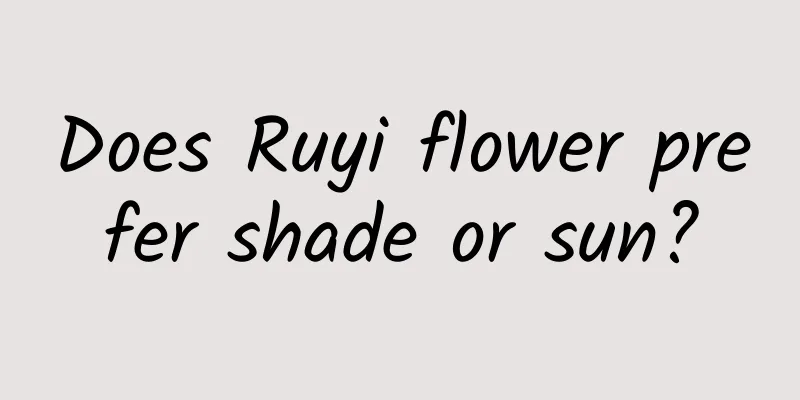 Does Ruyi flower prefer shade or sun?