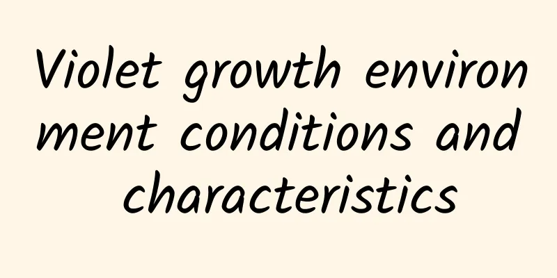 Violet growth environment conditions and characteristics