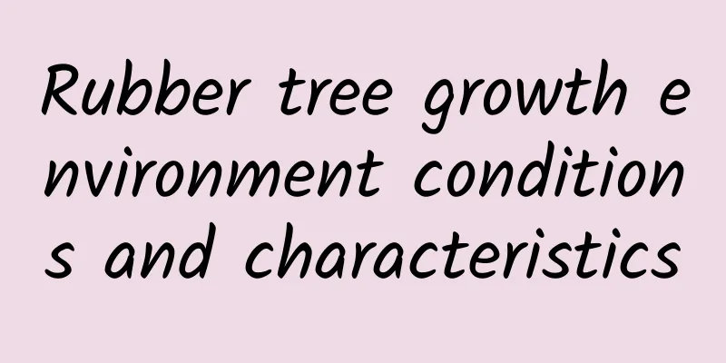 Rubber tree growth environment conditions and characteristics