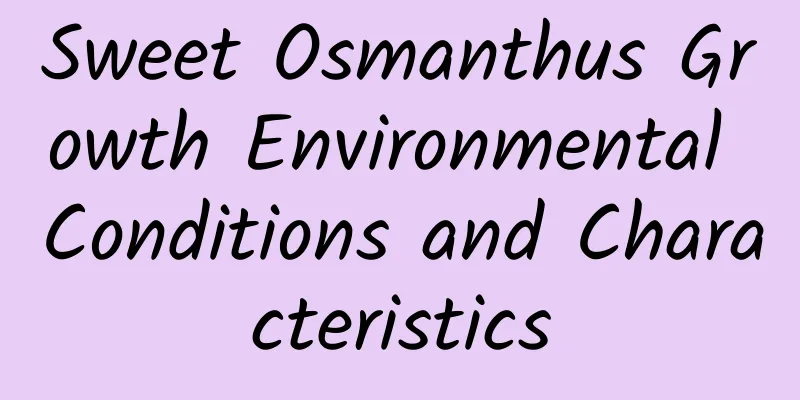 Sweet Osmanthus Growth Environmental Conditions and Characteristics