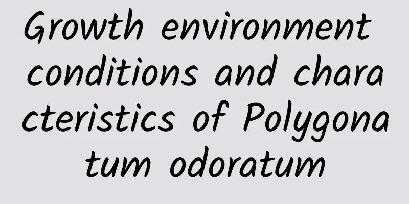 Growth environment conditions and characteristics of Polygonatum odoratum