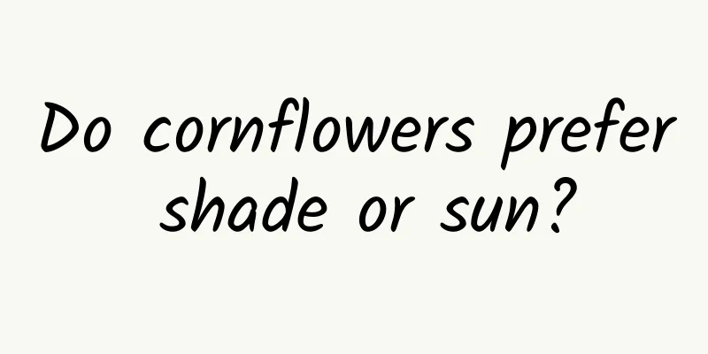Do cornflowers prefer shade or sun?