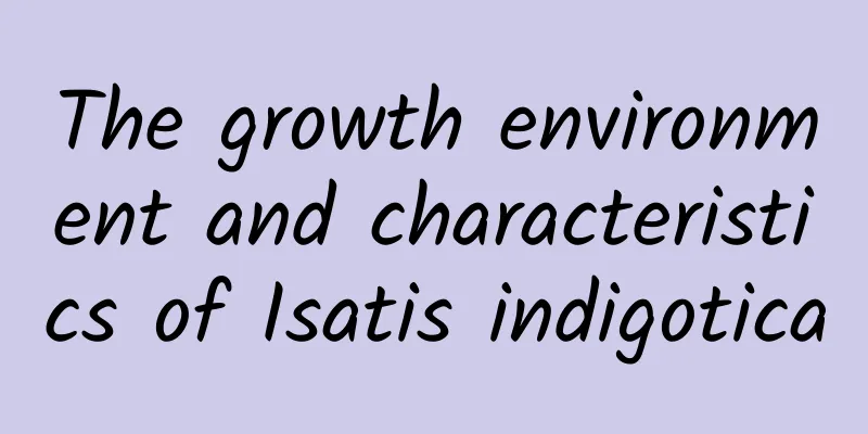 The growth environment and characteristics of Isatis indigotica