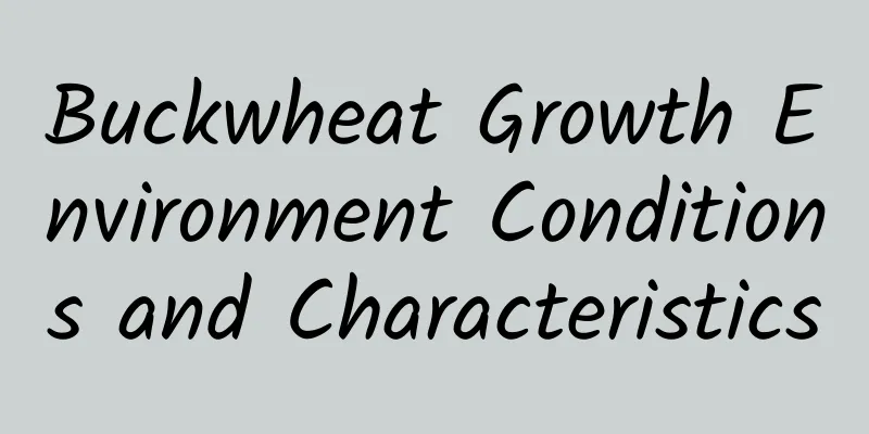 Buckwheat Growth Environment Conditions and Characteristics