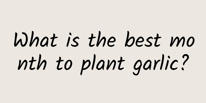 What is the best month to plant garlic?