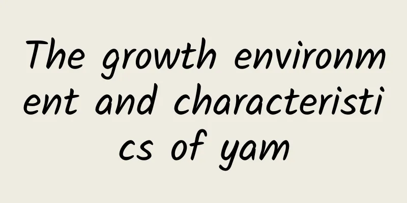 The growth environment and characteristics of yam