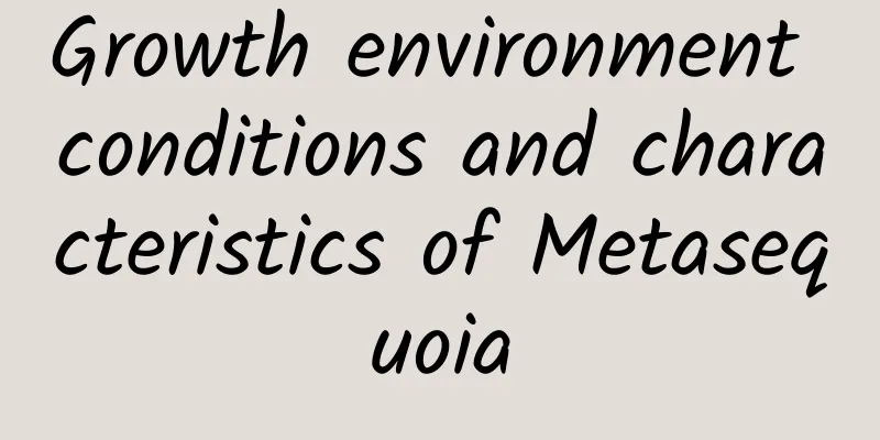 Growth environment conditions and characteristics of Metasequoia