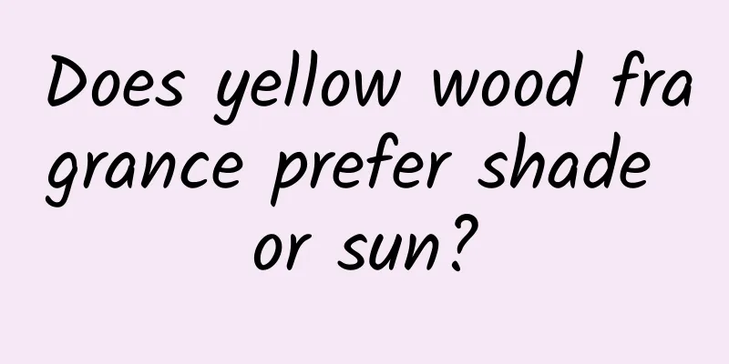 Does yellow wood fragrance prefer shade or sun?