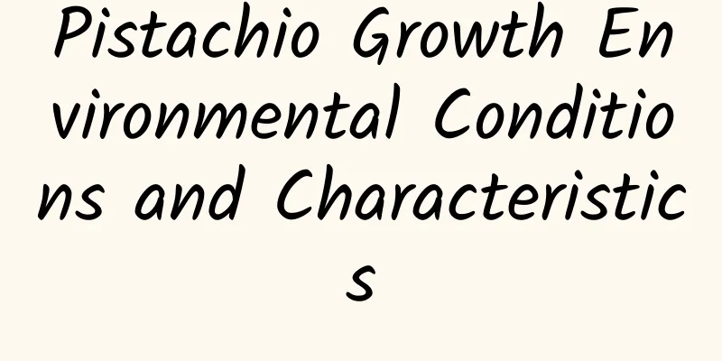 Pistachio Growth Environmental Conditions and Characteristics