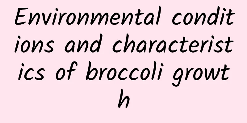 Environmental conditions and characteristics of broccoli growth