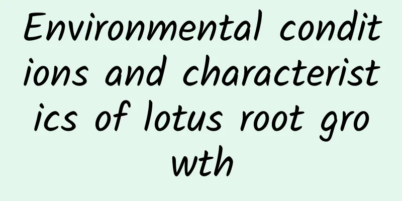 Environmental conditions and characteristics of lotus root growth
