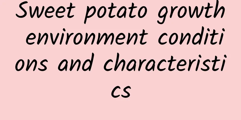 Sweet potato growth environment conditions and characteristics