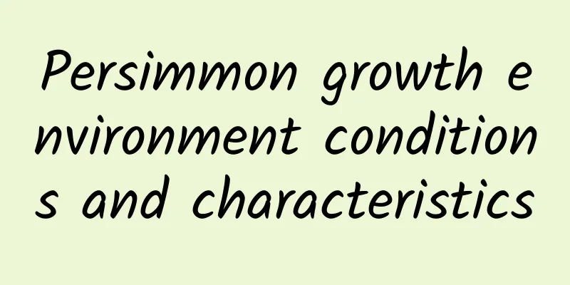 Persimmon growth environment conditions and characteristics