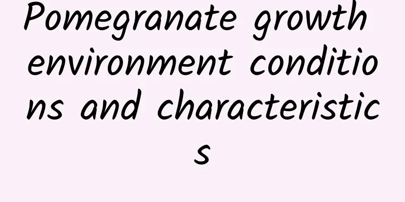 Pomegranate growth environment conditions and characteristics