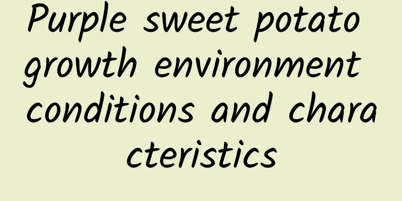 Purple sweet potato growth environment conditions and characteristics