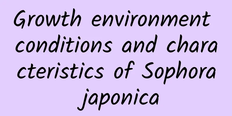Growth environment conditions and characteristics of Sophora japonica
