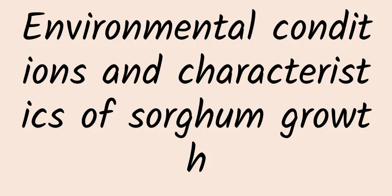 Environmental conditions and characteristics of sorghum growth