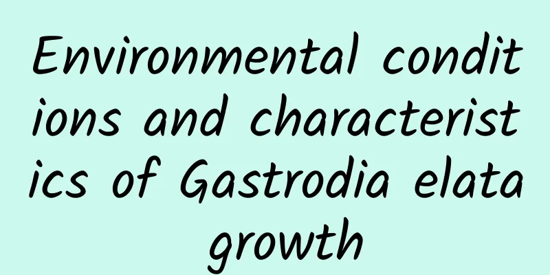 Environmental conditions and characteristics of Gastrodia elata growth