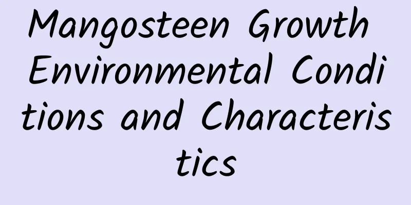 Mangosteen Growth Environmental Conditions and Characteristics