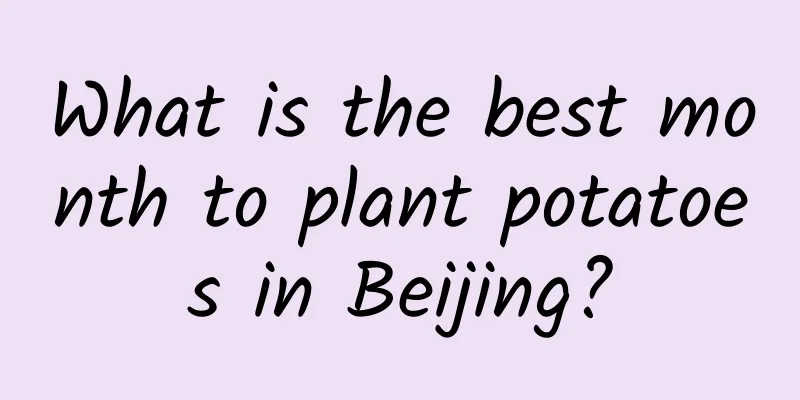 What is the best month to plant potatoes in Beijing?