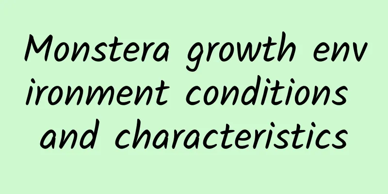 Monstera growth environment conditions and characteristics