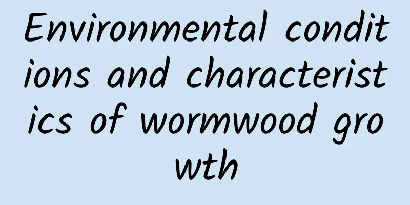 Environmental conditions and characteristics of wormwood growth