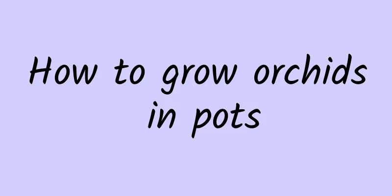 How to grow orchids in pots