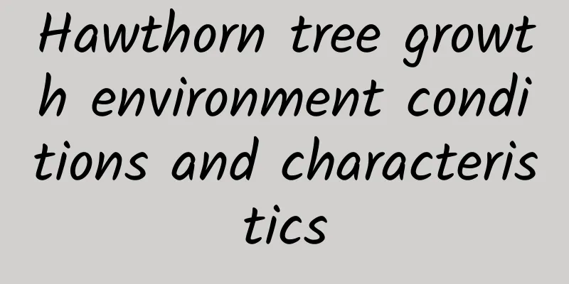 Hawthorn tree growth environment conditions and characteristics