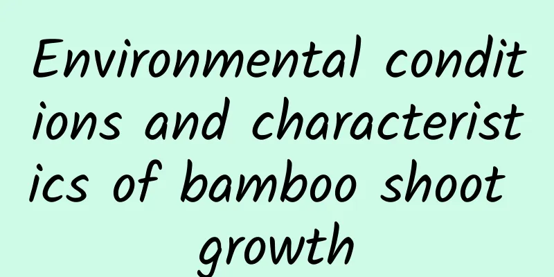 Environmental conditions and characteristics of bamboo shoot growth