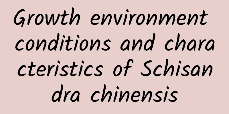 Growth environment conditions and characteristics of Schisandra chinensis