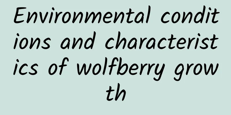 Environmental conditions and characteristics of wolfberry growth