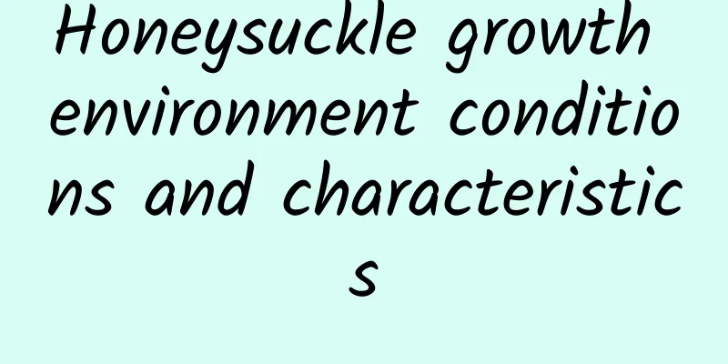 Honeysuckle growth environment conditions and characteristics