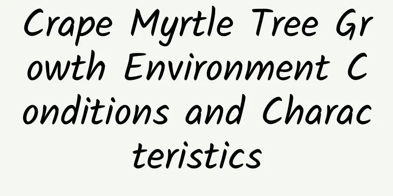 Crape Myrtle Tree Growth Environment Conditions and Characteristics