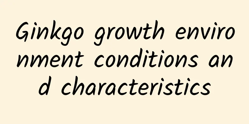 Ginkgo growth environment conditions and characteristics