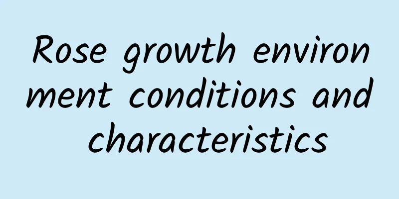 Rose growth environment conditions and characteristics