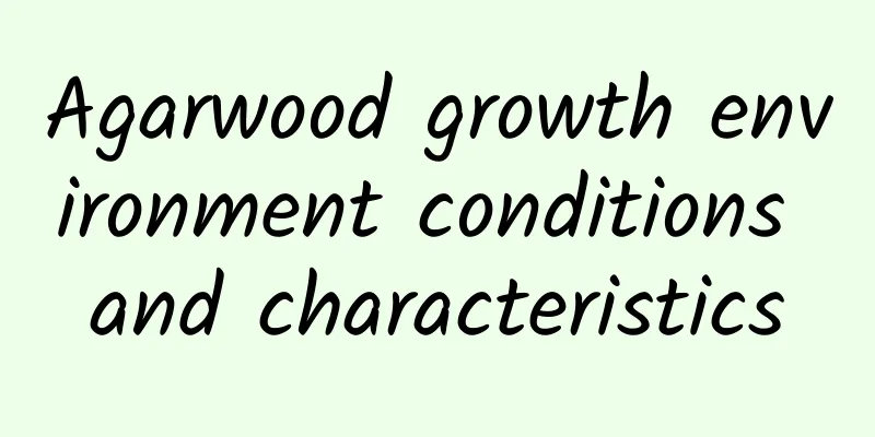 Agarwood growth environment conditions and characteristics