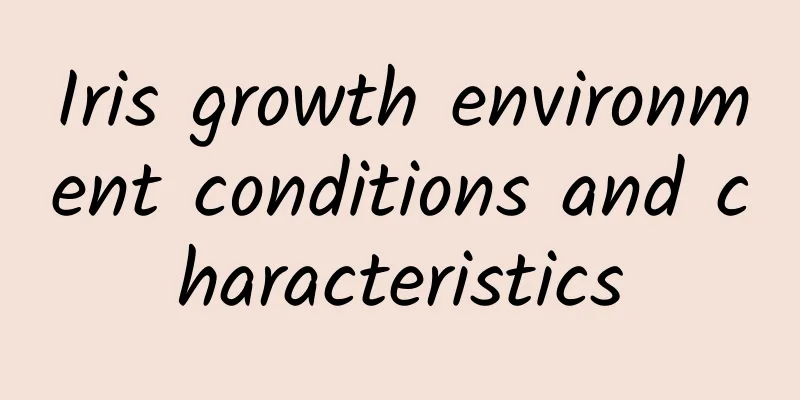 Iris growth environment conditions and characteristics