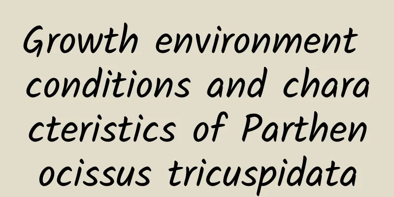 Growth environment conditions and characteristics of Parthenocissus tricuspidata