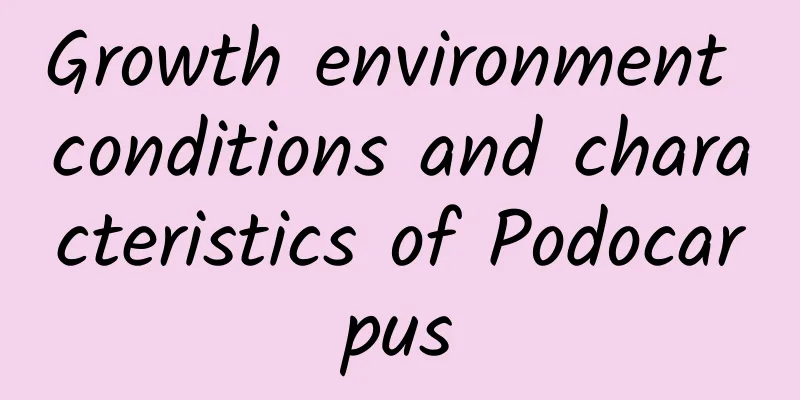 Growth environment conditions and characteristics of Podocarpus