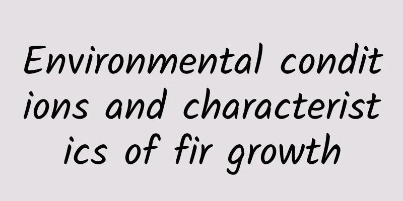 Environmental conditions and characteristics of fir growth