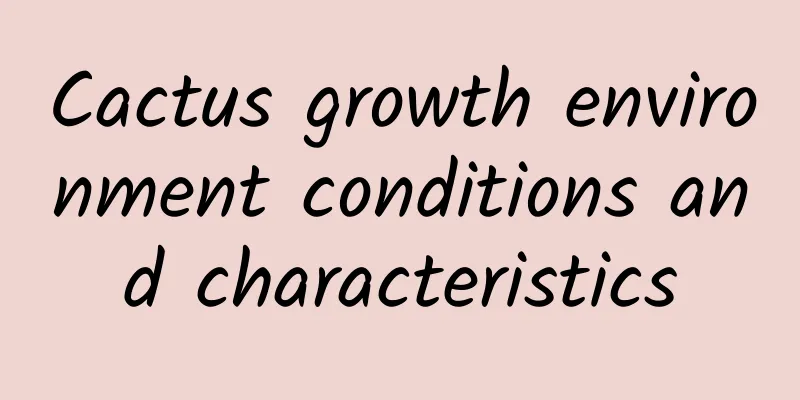 Cactus growth environment conditions and characteristics