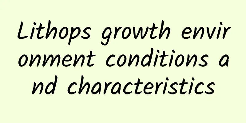 Lithops growth environment conditions and characteristics