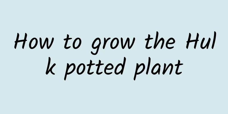 How to grow the Hulk potted plant