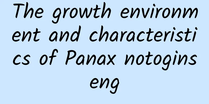 The growth environment and characteristics of Panax notoginseng