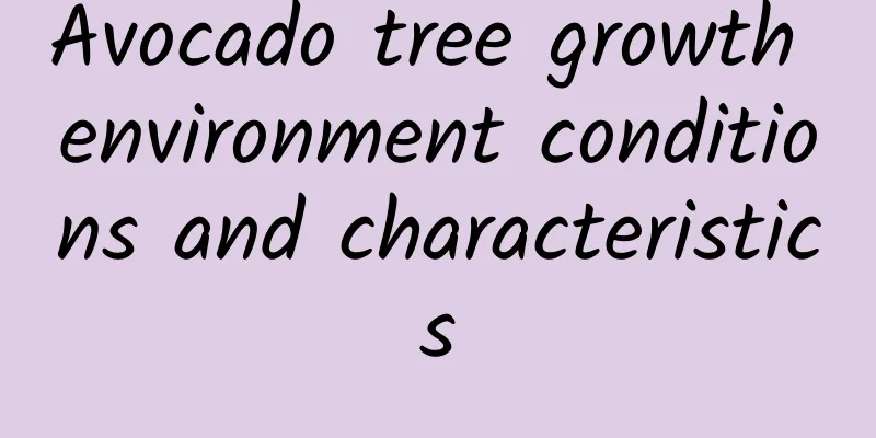 Avocado tree growth environment conditions and characteristics