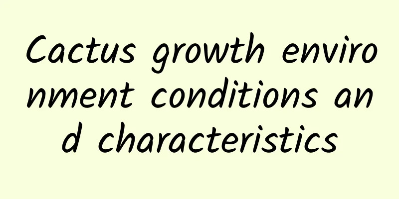 Cactus growth environment conditions and characteristics
