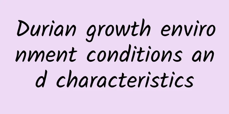 Durian growth environment conditions and characteristics