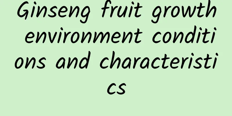 Ginseng fruit growth environment conditions and characteristics