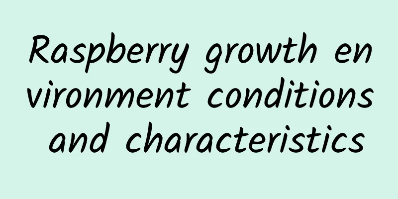 Raspberry growth environment conditions and characteristics